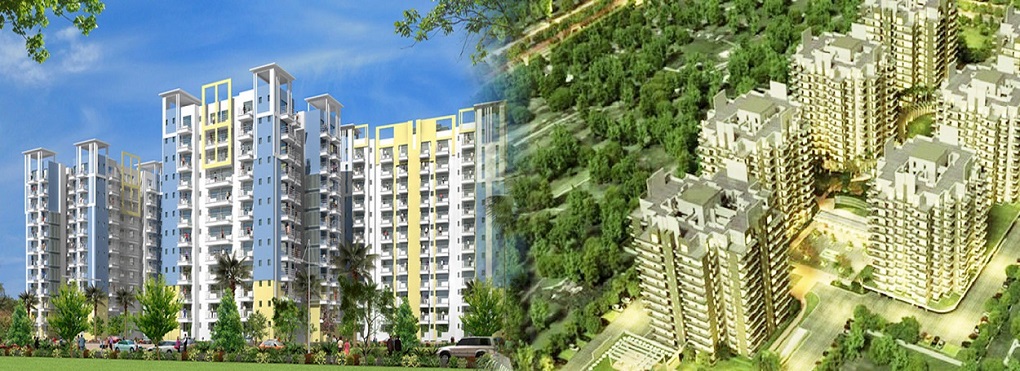 Floors in Faridabad
